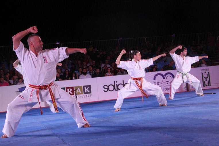 Martial Arts Festival